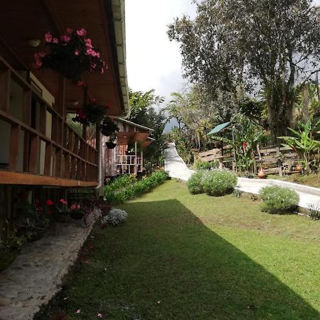 Hotel Campestre Selva Verde Salento Eksteriør bilde