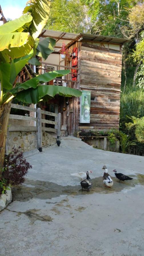 Hotel Campestre Selva Verde Salento Eksteriør bilde