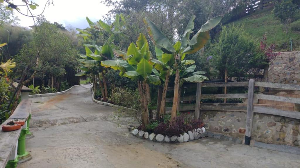 Hotel Campestre Selva Verde Salento Eksteriør bilde