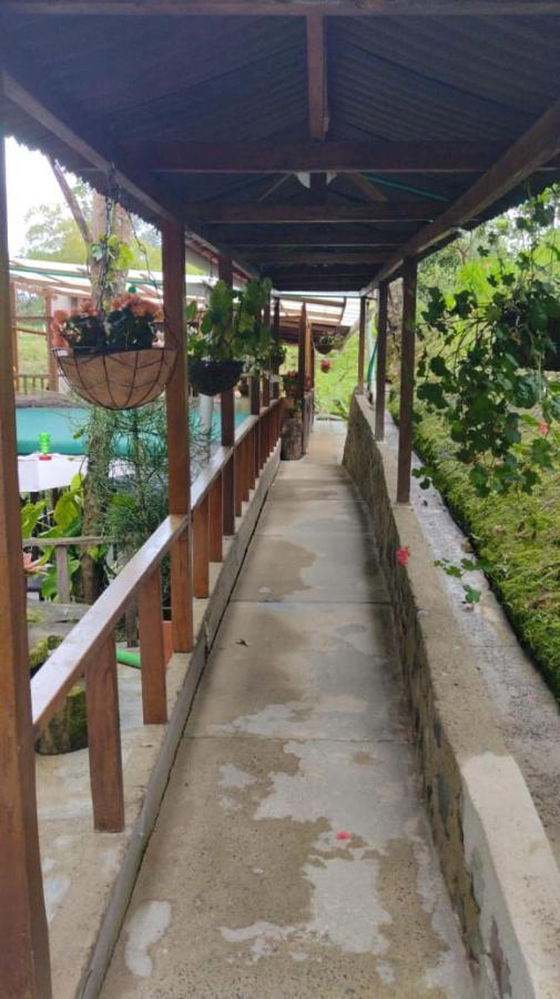 Hotel Campestre Selva Verde Salento Eksteriør bilde