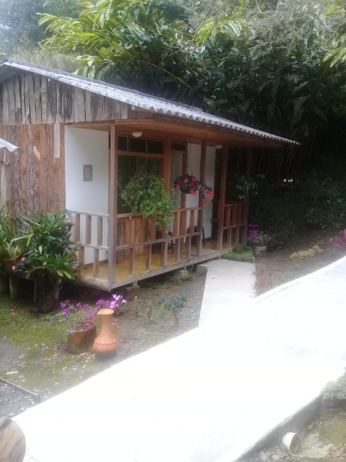 Hotel Campestre Selva Verde Salento Eksteriør bilde