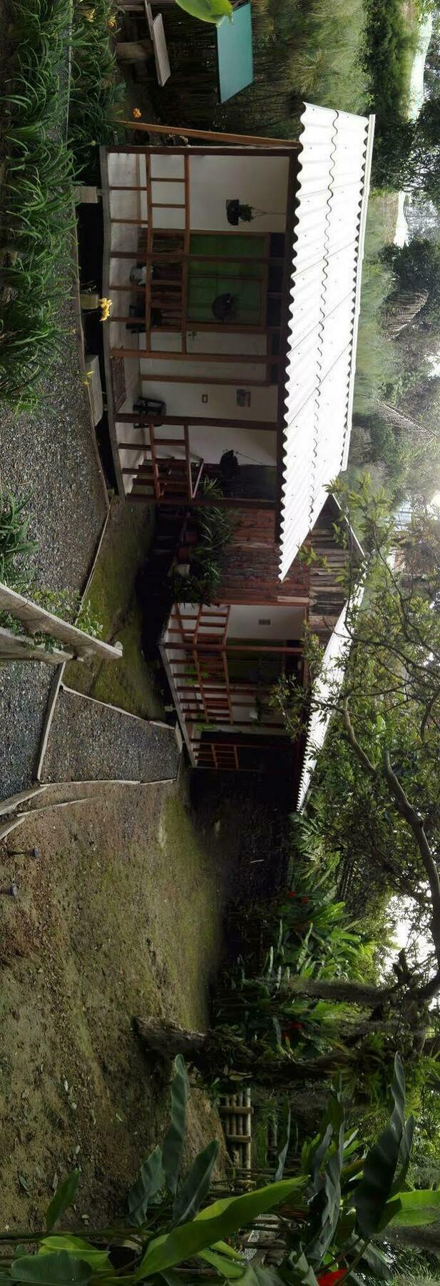 Hotel Campestre Selva Verde Salento Eksteriør bilde